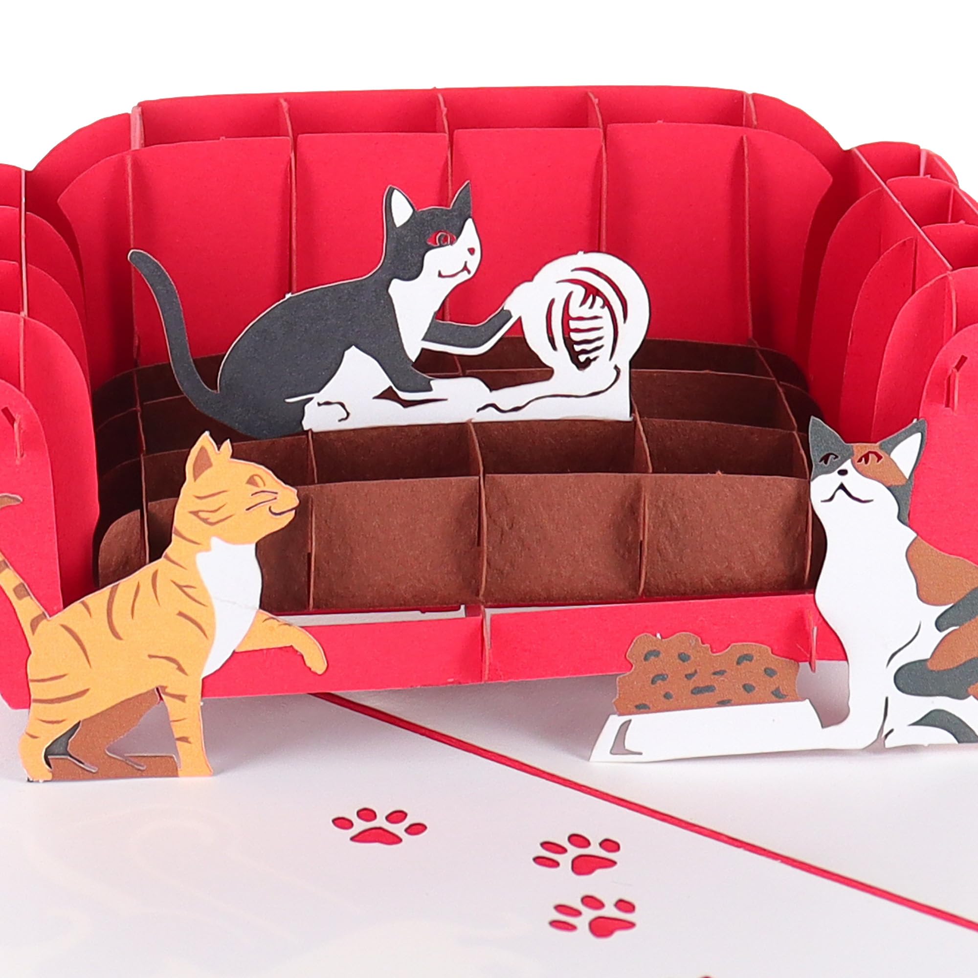 iGifts And Cards Funny Cats 3D Pop Up Greeting Card - Cool Kitten Lovers Card, Thinking of You From Fun Kitty, Thank You Vet Present, Special Happy Birthday Gift, Cute Feline Card For Best Friend