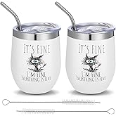 LTEIWFPE 2 Sets 12Oz Black Cat Funny Tumbler It's Fine I'm Everything is Fine Appreciation Stainless Steel Insulated Mug with Lid and Straw Cup Christmas Gifts for Coworker Women Cat Lovers