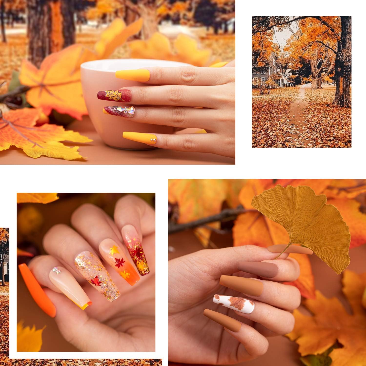 Beetles 20 Pcs Gel Nail Polish Kit, Fall Harvest Collection Soak Off Nail Gel Polish Gold Yellow Nail Polish Red Burgundy Glitter Gel Polish Starter Kit with Glossy & Matte Top Coat and Base Coat : Beauty