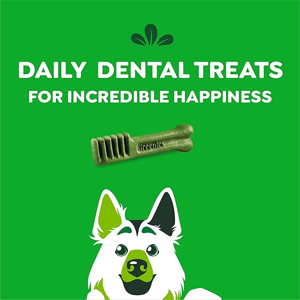 GREENIES ORIGINAL LARGE DENTAL DOG TREATS, 54 OZ. PACK (34 TREATS)