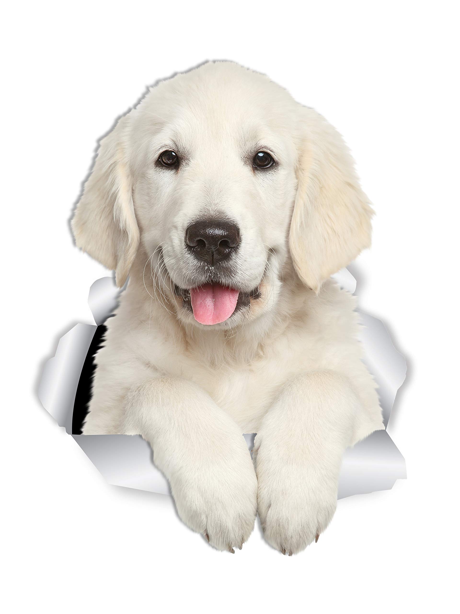 Winston & Bear Gorgeous Golden Retriever Dog Wall Decals - 2 Pack - Golden Retriever 3D Sticker Decals for Walls, Cars, Toilet and More - Retail Packaged Golden Retriever Gifts — image 1