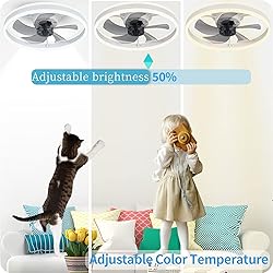 DewShrimp Flush Mount Bladeless Ceiling Fan with