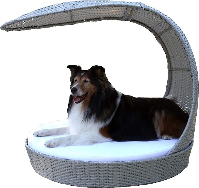 dog chaise lounge chair