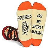 Cute Squirrel Socks for Women Teenage