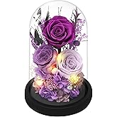 Casaido Preserved Roses Flowers for Delivery, Vanlentines Day Gifts for Her, Purple Forever Flores in Glass Dome for Wife Girlfriend Grandma, Rose Anniversary Birthday Gift for Mothers Day Christmas