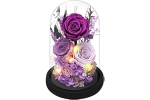 Casaido Preserved Roses Flowers for Delivery, Purple Forever Flores in Glass Dome for Women Mom Wife Girlfriend Grandma, Eternal Rose Anniversary Birthday Gift for Mothers Day Valentines Christmas