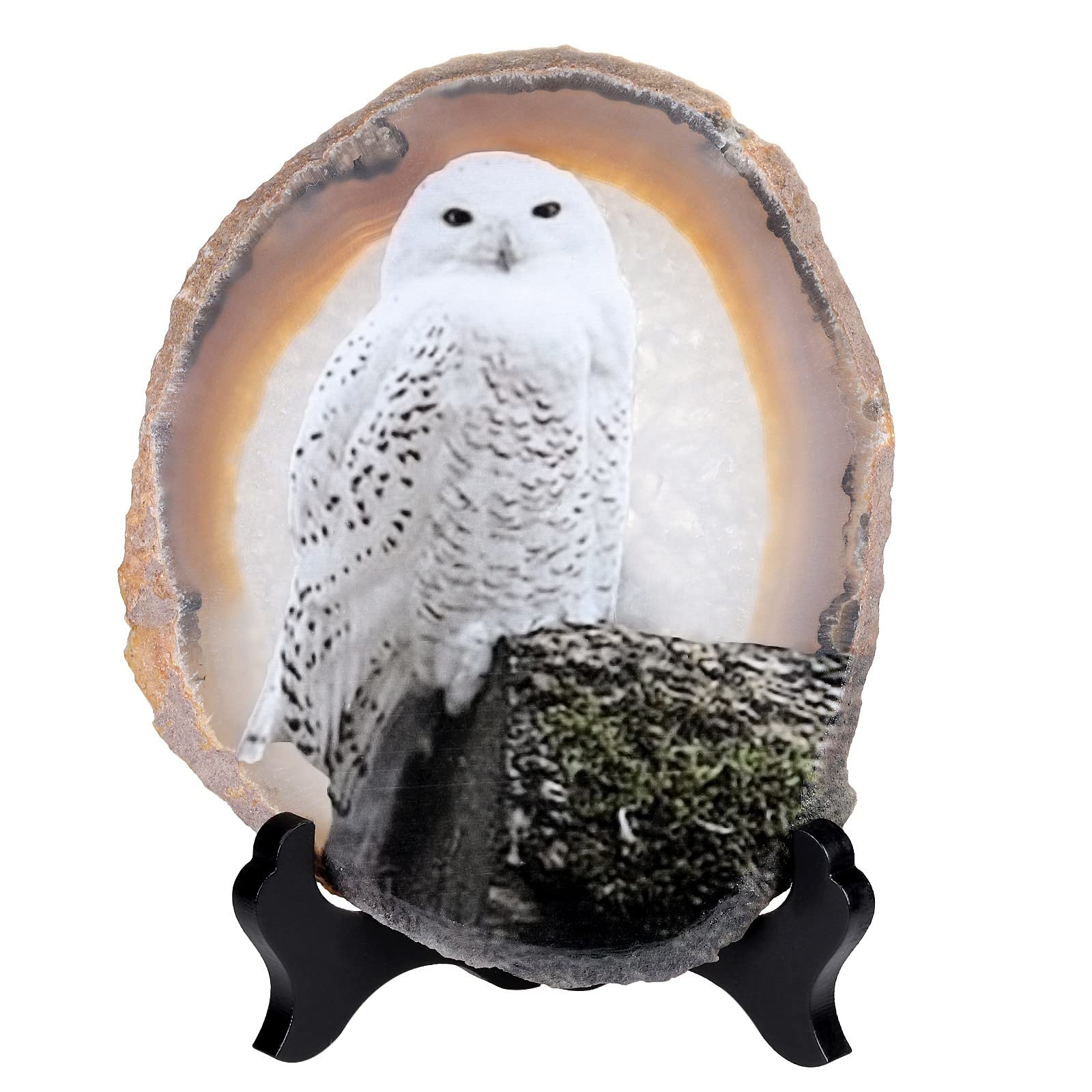 KYEYGWO Natural Irregular Agate Slice Painting Decor with Wooden Stand Agate Geode Slab for Desk Hallway, Snowy Owl