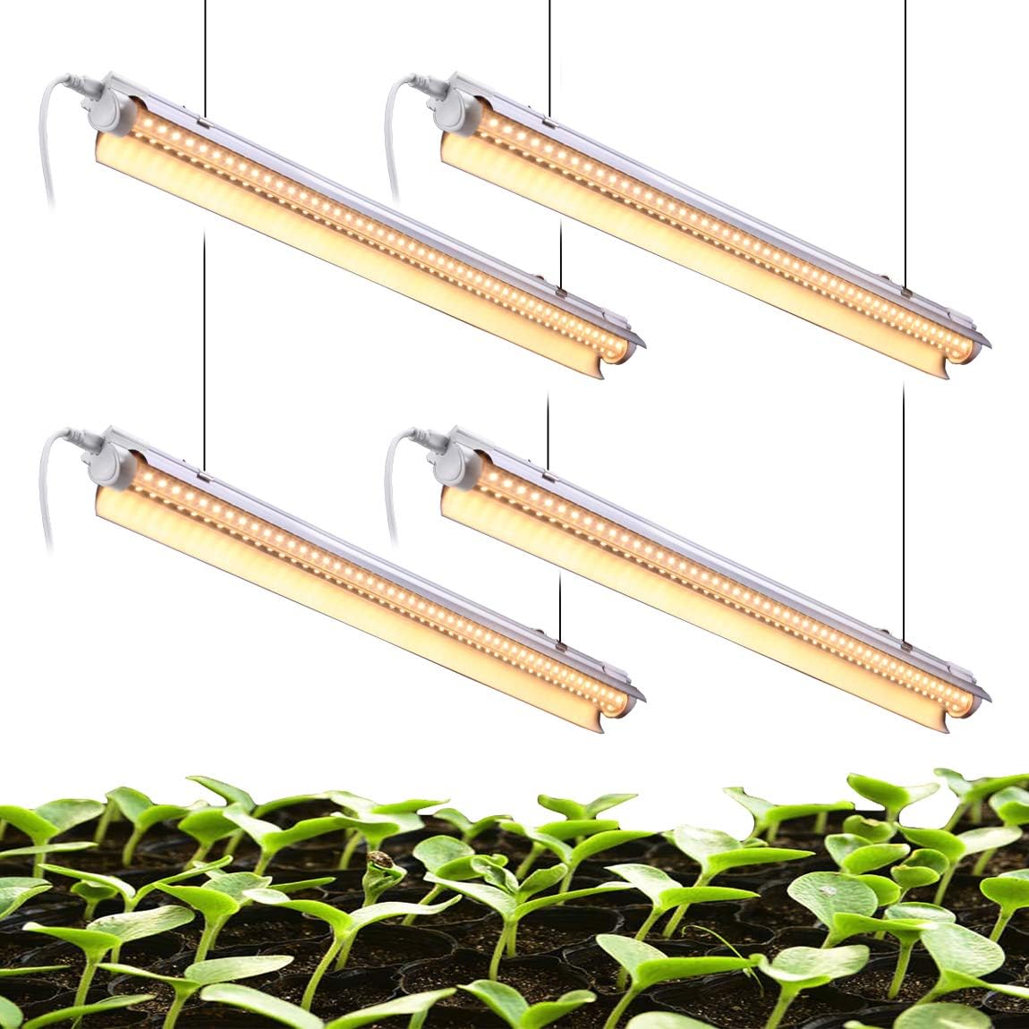 Best T8 Bulbs For Growing Plants Grower Today