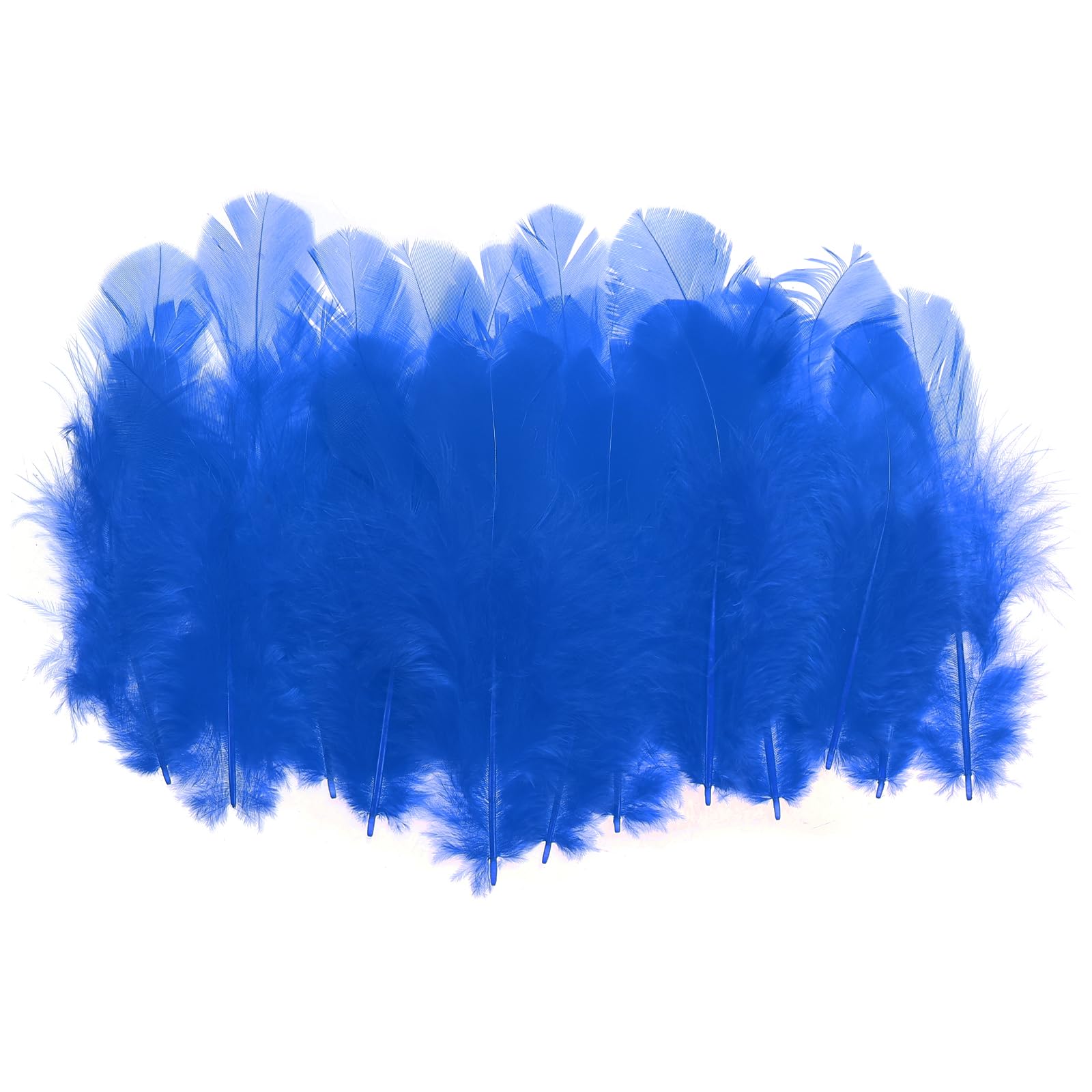 PATIKIL 1.5-3 Inch Saddle Hackle Rooster Feather, 300 Pcs Bulk Natural Feathers Fluffy Craft Feathers for Dream Catcher Earrings Pendant, Blue