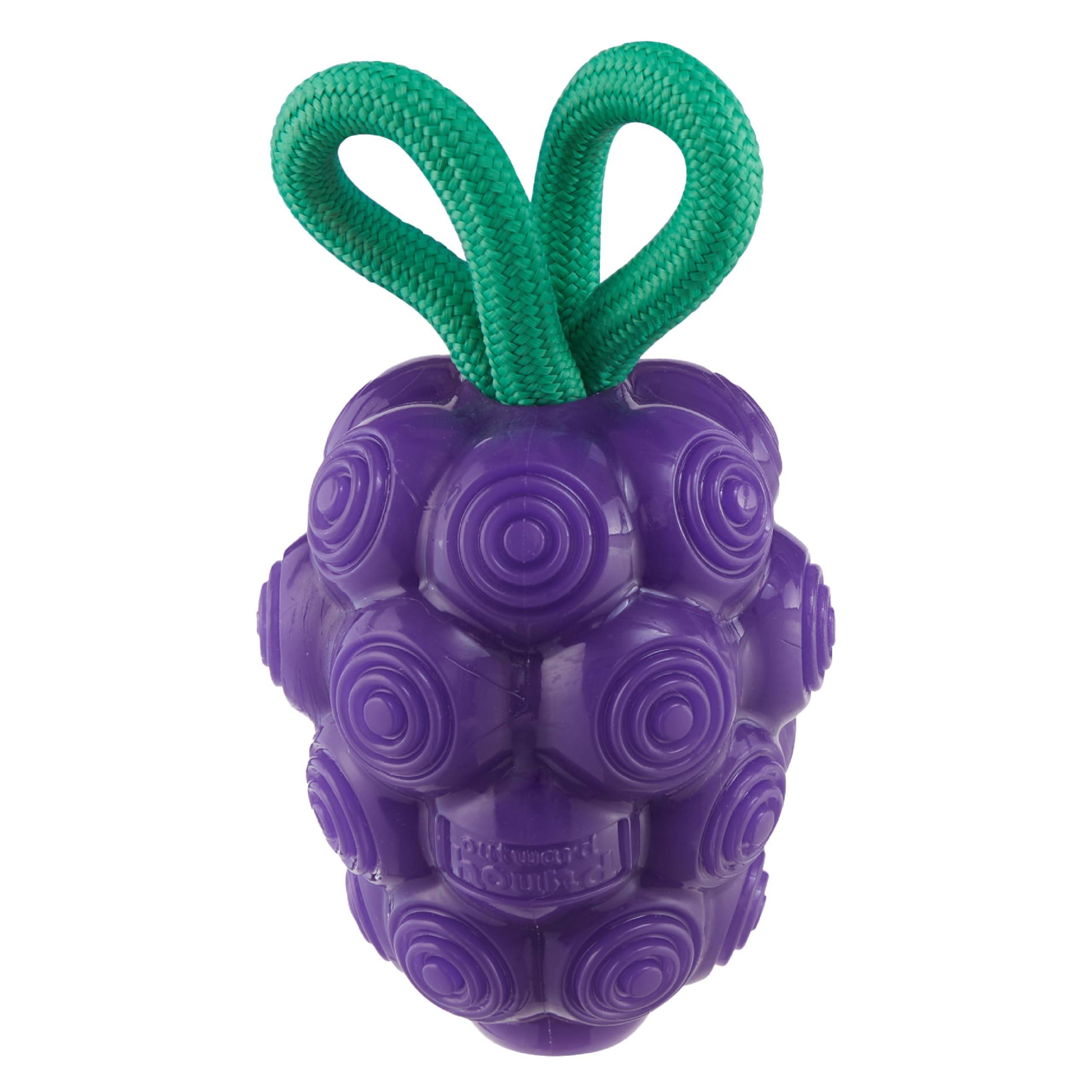 Outward Hound by Planet Dog Dental Grapes 2-in-1 Dog Chew Toy and Treat Stuffer, Medium, Purple