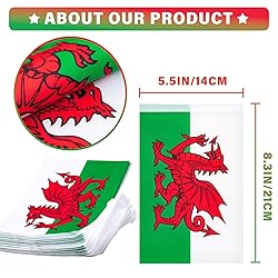 Wales String Flag Pennant Banner, Small Mini Welsh