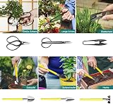 MOSFiATA Bonsai Tools Set 13 Pcs High Carbon Steel Pruning Shears Scissors view 4
