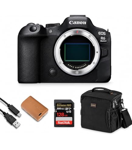 Amazon.com : Canon EOS R6 Mark II Mirrorless Camera : Electronics