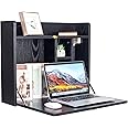 YU YUSING Wall Mounted Table, Multifunctional Fold Down Wall Mounted Laptop Computer Desk with Storage Compartments for Home, Office (Black)