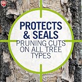 Provanto Arbrex Seal and Heal 300G Natural Tree Pruning Sealant view 6