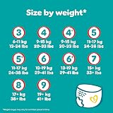 Pampers Baby-Dry Nappy Pants Size 5 33 Nappies 12-17kg Essential Pack view 7