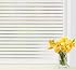 Beautysaid Pellicola Per Vetri Privacy Effetto Smerigliato Arcobaleno – Anticalore, Elettrostatica E Riutilizzabile Per Finestre (98% Privacy)