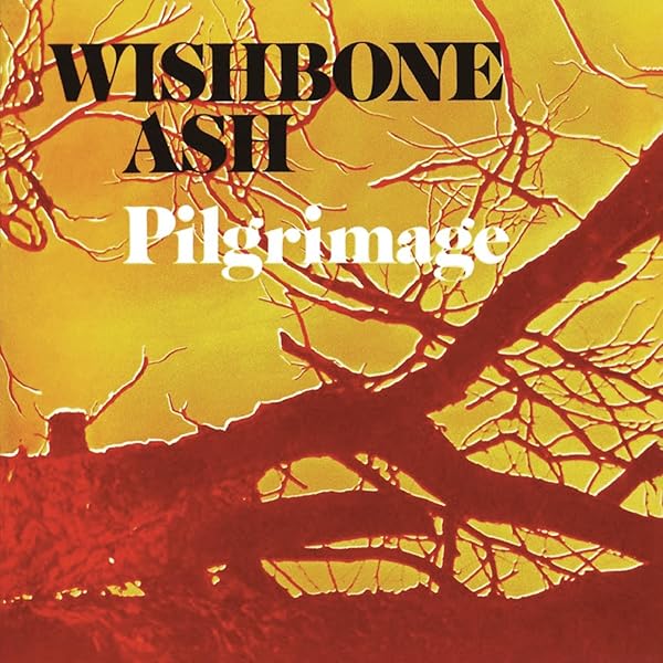 WISHBONE ASH - Twin Barrels Burning - Amazon.com Music
