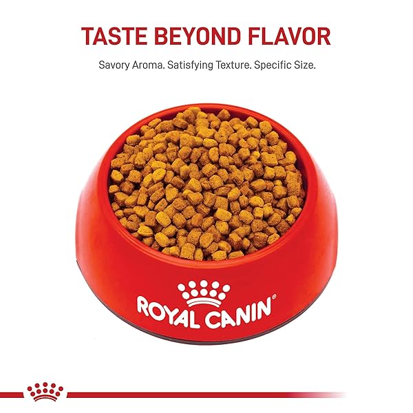 ROYAL CANIN BREED HEALTH NUTRITION DACHSHUND PUPPY DRY DOG FOOD, 2.5 LB BAG