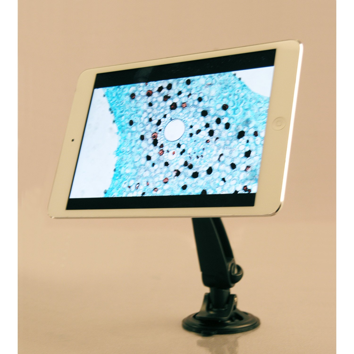 Phone Tablet Mount Microscopes