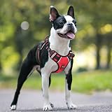 HEELE Dog Harness No Pull Medium with Front Back Clips Reflective Padded Red view 7