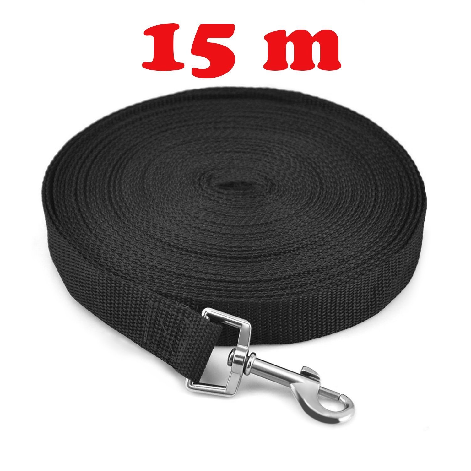 long leash recall training