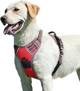 Eagloo Dog Harness Large No Pull Front Back Clips Reflective Red L