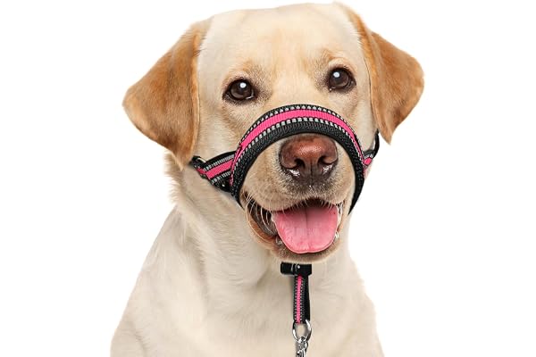 BARKLESS Soft Dog Head Collar, Padded No Pull Head Halter, Training Nose Leash with Safety Link for Medium Large Dogs, Adjust