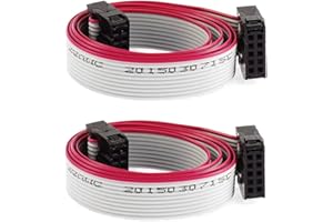 RANIT IDC Socket 10 Pins Flat Ribbon Cable, 10 Wire, 50 cm Length, 2 Pieces