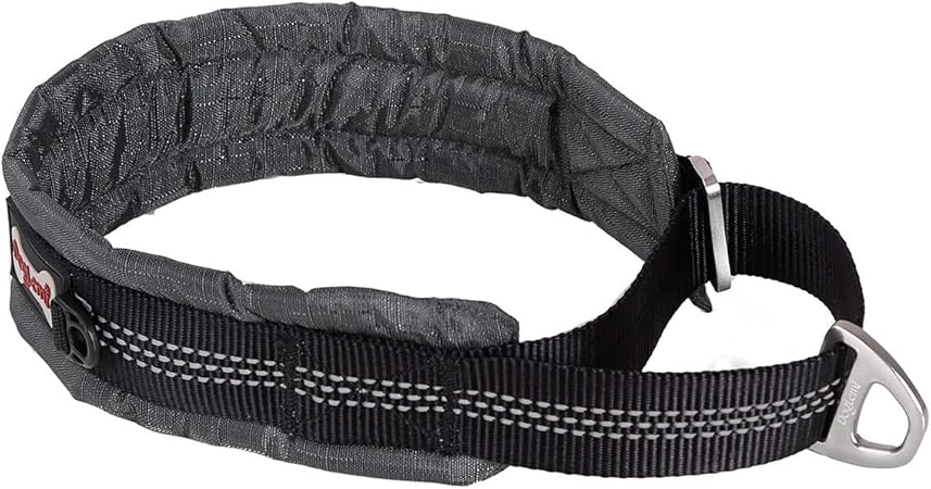 padded martingale dog collars