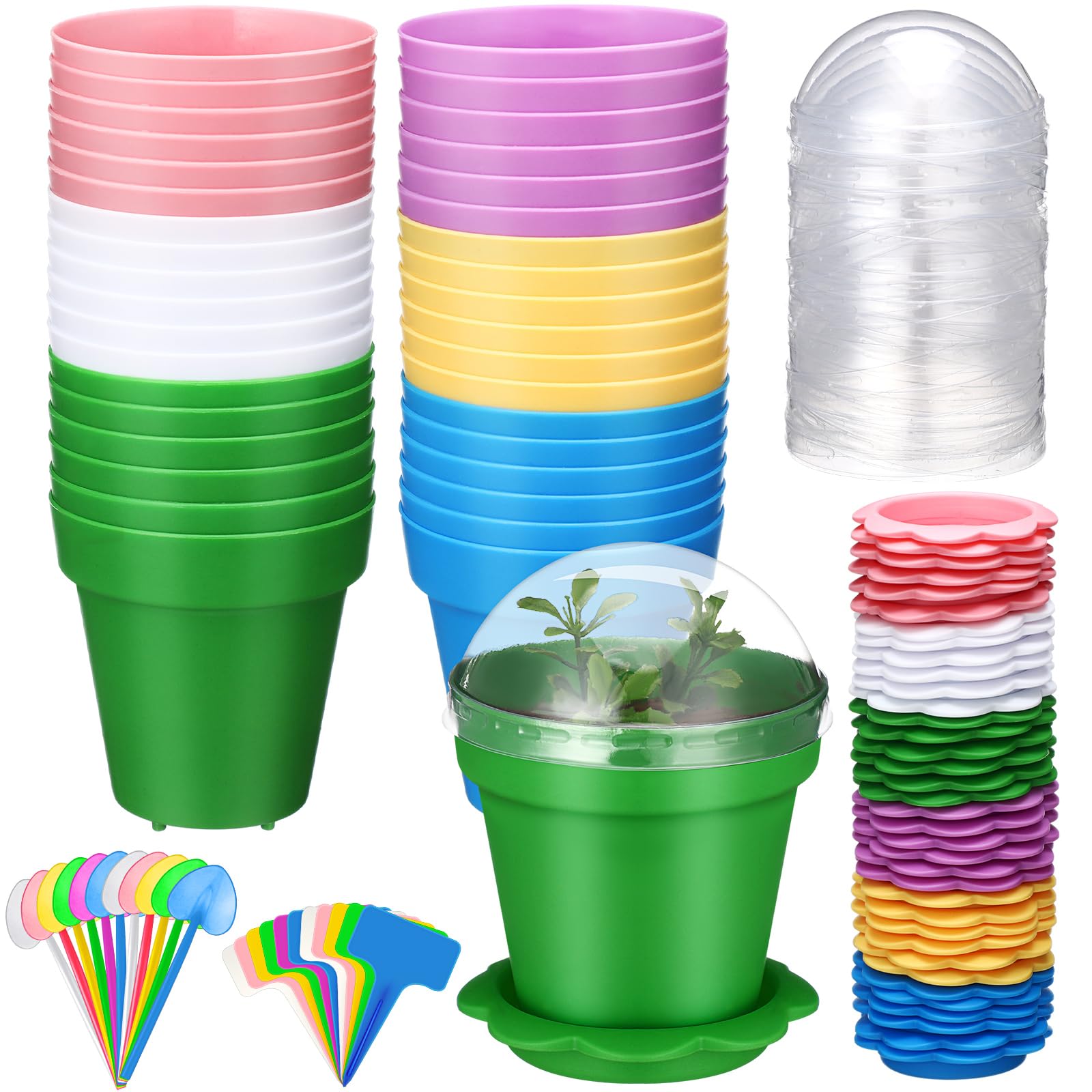 Photo 1 of LOYIM 36 Packs Cupcake Plant Nursery Pots with Humidity Dome Small Flower Pots Plastic Planting Containers Cups with Saucers and Shovel for Indoor Outdoor Plant Succulent Display(Colorful)