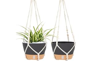 QCQHDU Hanging Planters for Indoor Plants,2 Pack Macrame Plant Hanger with Pots with Cotton Rope,Hanging Plant Holder Outdoor Home Decor(Darkgrey-10 inch)