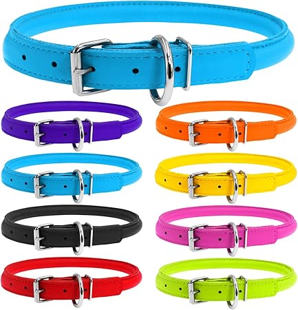 great dane breed origin