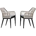 PURPLE LEAF Patio Dining Chair Set 2 Pieces Metal Modern Furniture Seating for Garden Kitchen Porch Outdoor Rattan Dining Chairs with Armrests and Cushions, Dark Grey
