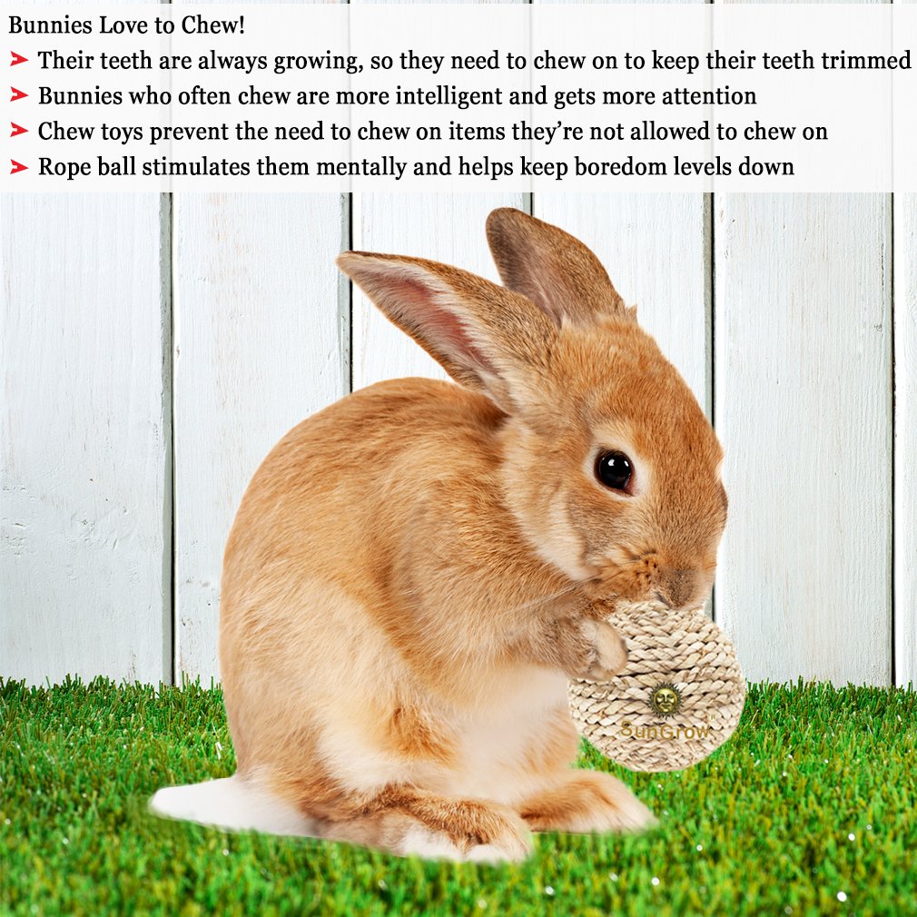 SunGrow Rabbit Rope Ball : Natural Grass Ball: Environmentally Friendly Toy: Entertaining & Fun for Your Pet: Suitable for Guinea Pigs & Chinchillas & Other Small Pets