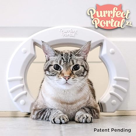 Amazon Com Purrfect Portal Xl Pet Cat Door For Interior Doors