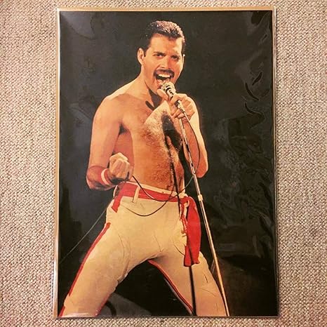 Amazon ミニ ポスター クイーン フレディマーキュリー 上半身裸 アニメ 萌えグッズ 通販 Amazon ミニ ポスター クイーン フレディマーキュリー 上半身裸 アニメ 萌えグッズ 通販