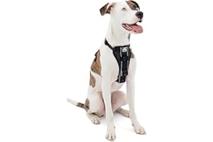 Kurgo Tru-Fit Smart Dog Walking Harness - Comfortable Fit - Adjustable Harness - Reflective Pet Wear - Quick Strap Release - Daily Walk Accessory - Includes Seat Belt Loop - Black - Medium