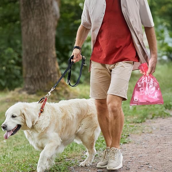 SEVENYING DOG POOP BAGS SCENTED, 240 COUNTS DOG WASTE BAGS, EXTRA THICK POOP BAGS FOR DOGS, LEAK PROOF DOGGY POOP BAGS