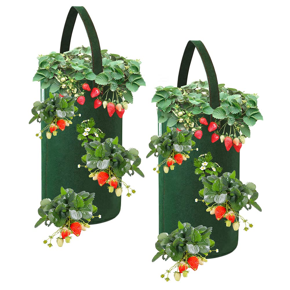 FALUCKYY Strawberry Planter Bags, 2 Pack 10 Gallon Hanging Strawberry Grow Bags, Breathable Non-woven Strawberry Growing Bag Planting Pots for Plants Herbs Flowers, 22 x 38cm
