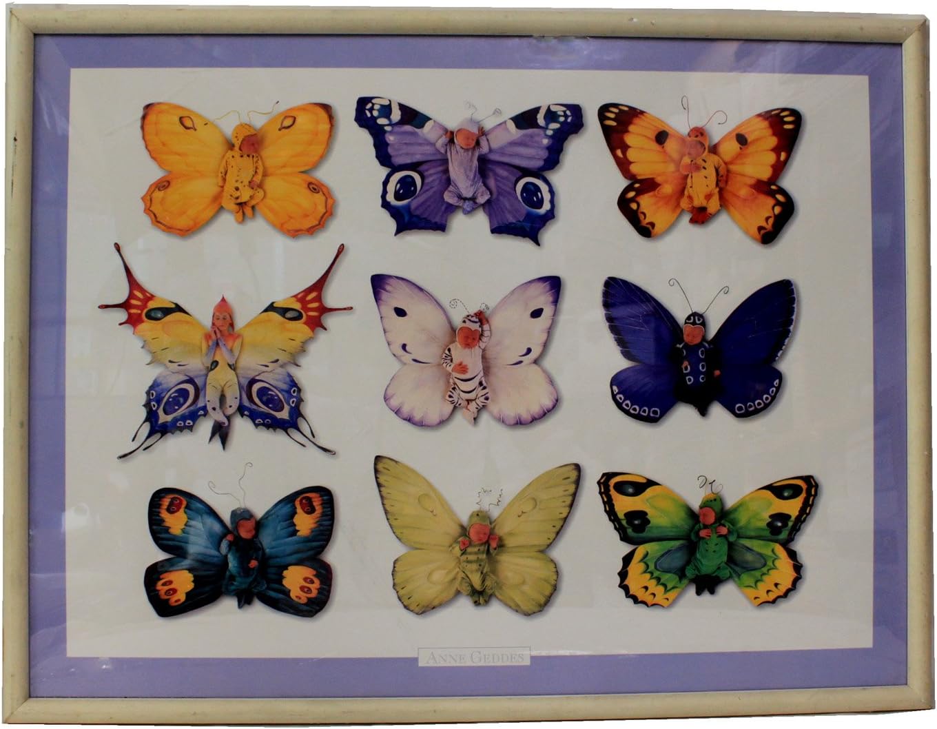 anne geddes butterfly babies