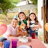 Fantasyon Dog Cat Birthday Hat with Bow Tie Pink Adjustable Reusable Party view 6