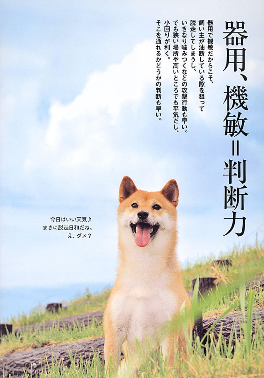 柴犬警察犬 二葉 久戸瀬 邦子 シーバ編集部 本 通販 Amazon