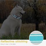 HEELE Reflective Dog Collar 2cm XS Sky Blue Neon Padded Nylon Adjustable view 6