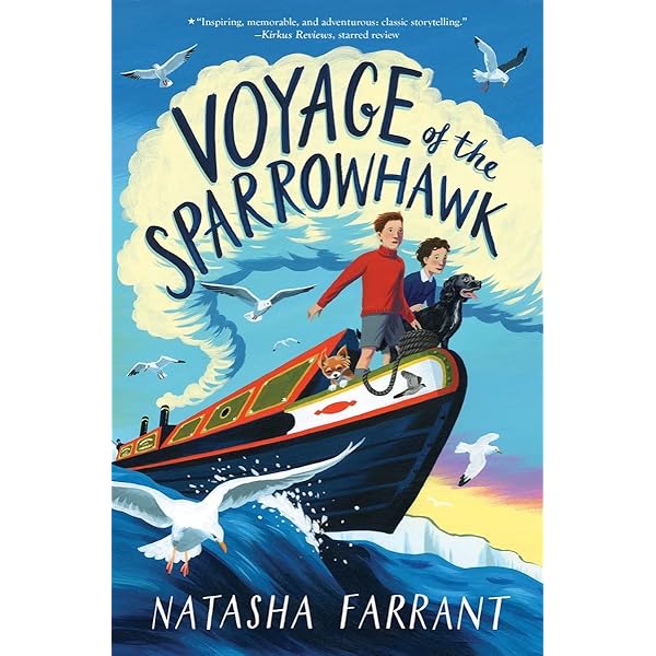 The Voyage of the Arctic Tern: Hugh Montgomery: 9780744594836