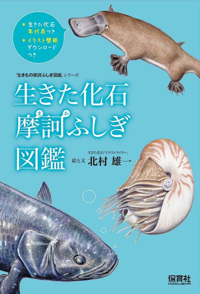 生きた化石 摩訶ふしぎ図鑑 生きもの摩訶ふしぎ図鑑 シリーズ 北村 雄一 本 通販 Amazon