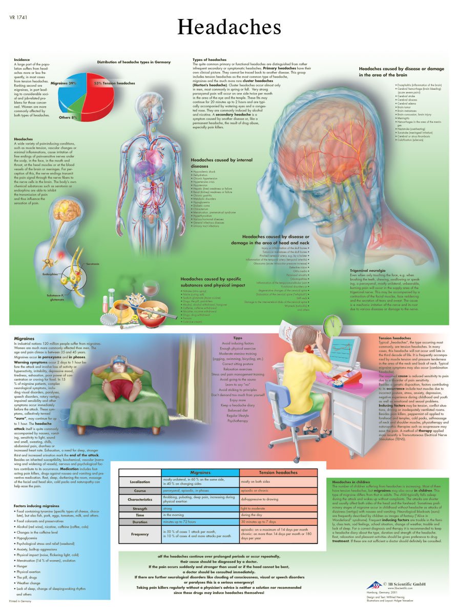 3B Scientific Human Anatomy - Headaches Chart, Laminated Version