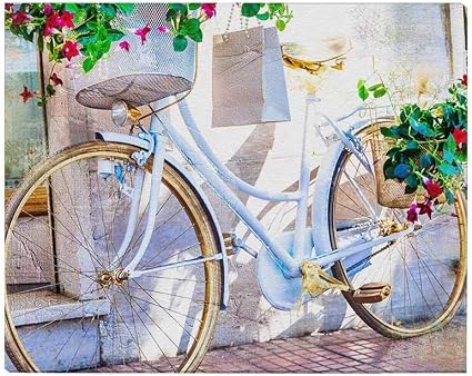 Amazon.com: InterestPrint Artistic Floral Bike White Bicycle with