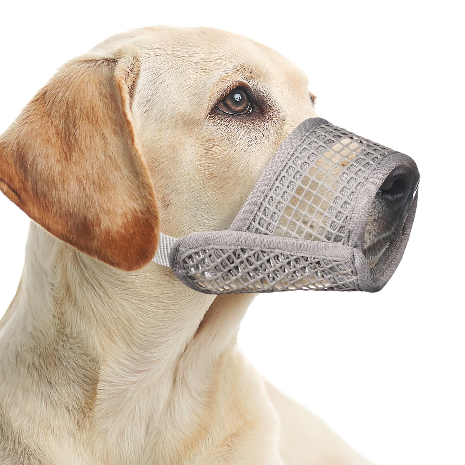 Photo 1 of Dog Muzzle