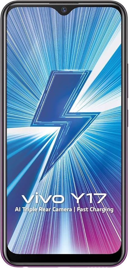 Vivo Y17 (Mystic Purple, 4GB RAM, 128GB Storage) with No Cost EMI/Additional Exchange Offers